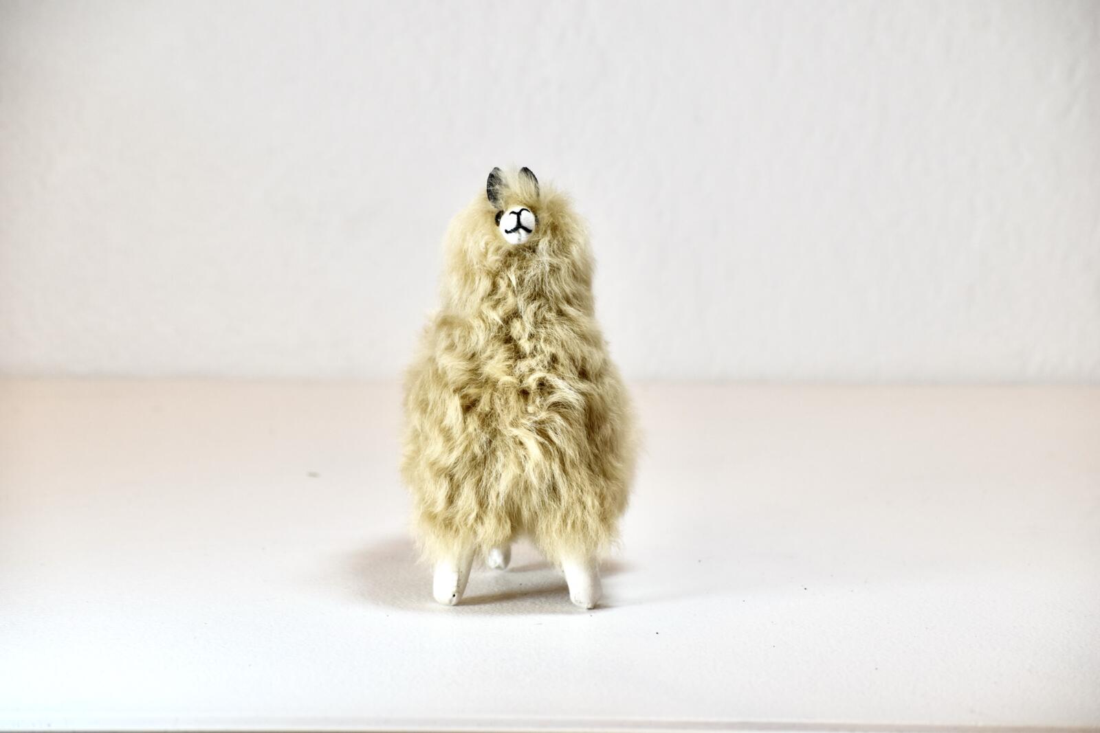 Llama